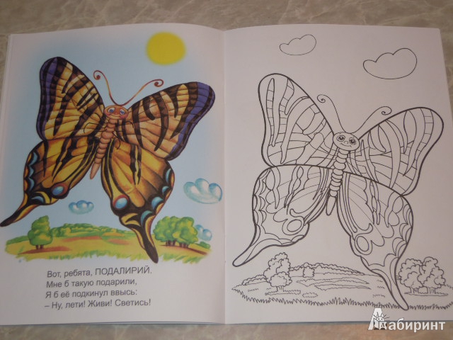 Иллюстрация 4 из 21 для Знакомимся с бабочками - Юрий Чичев | Лабиринт - книги. Источник: Iwolga