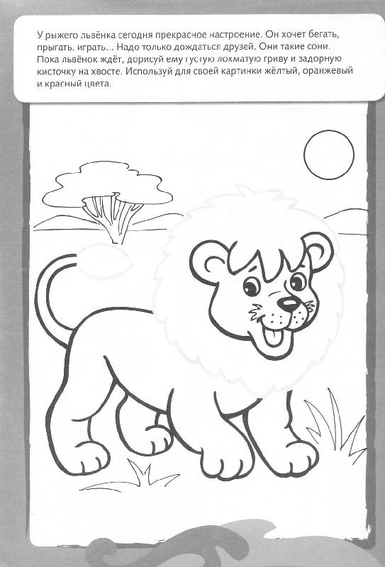 Иллюстрация 5 из 16 для Рисуем и раскрашиваем диких животных. 6+ | Лабиринт - книги. Источник: Росинка