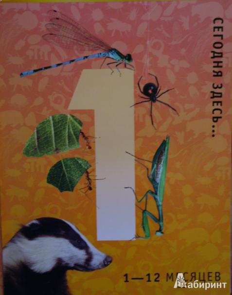 Иллюстрация 4 из 6 для Жизнь на Земле. Для детей от 9 лет - Грэм Бейнз | Лабиринт - книги. Источник: Стрижов  Николай