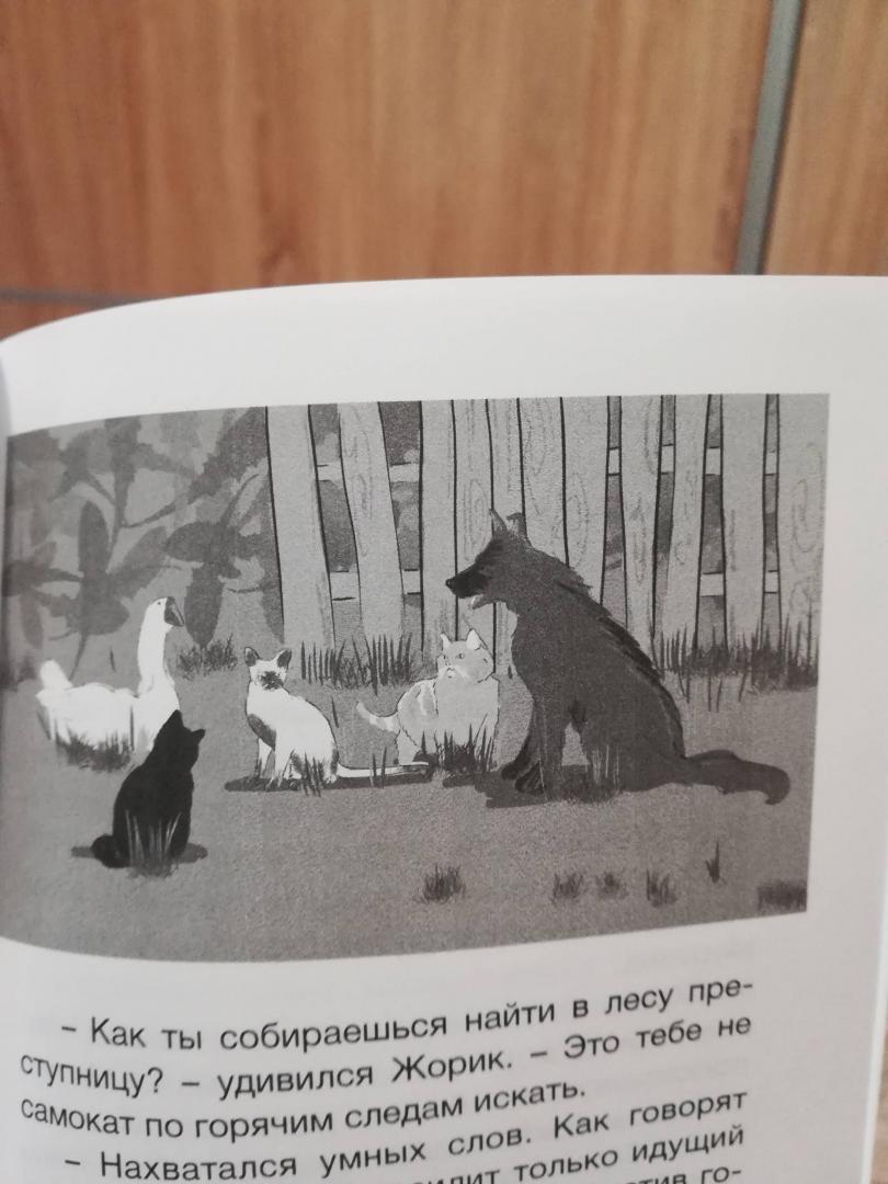 Иллюстрация 7 из 11 для Кот, собака и гусь - Олег Надточей | Лабиринт - книги. Источник: Mary  Marie