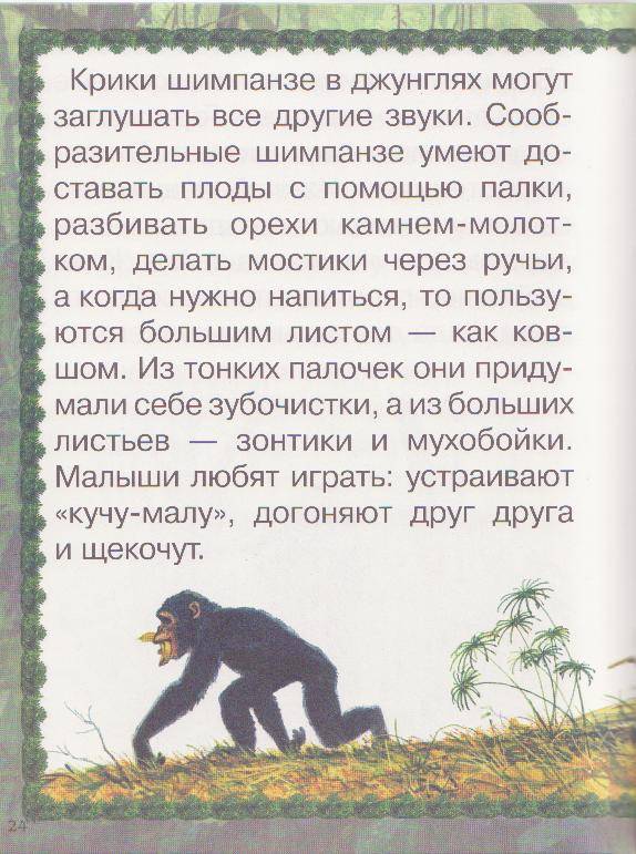 Иллюстрация 12 из 17 для Джунгли или путешествие по тропическому лесу - Ольга Колпакова | Лабиринт - книги. Источник: Ёжик