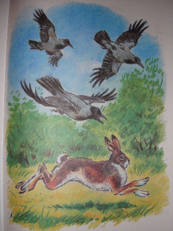 Иллюстрация 32 из 37 для Сказки, стихи, рассказы о животных | Лабиринт - книги. Источник: Нинуля