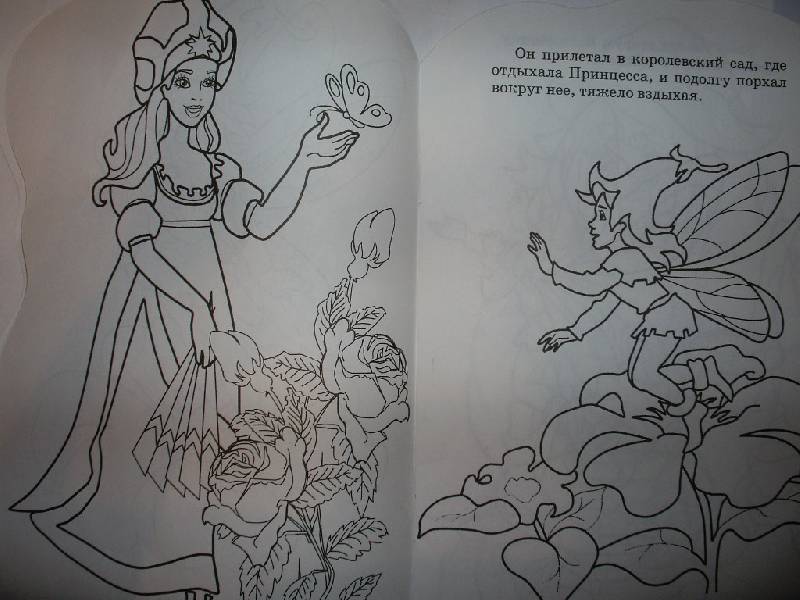 Иллюстрация 1 из 4 для Принцесса и эльф (раскраска) | Лабиринт - книги. Источник: Tiger.