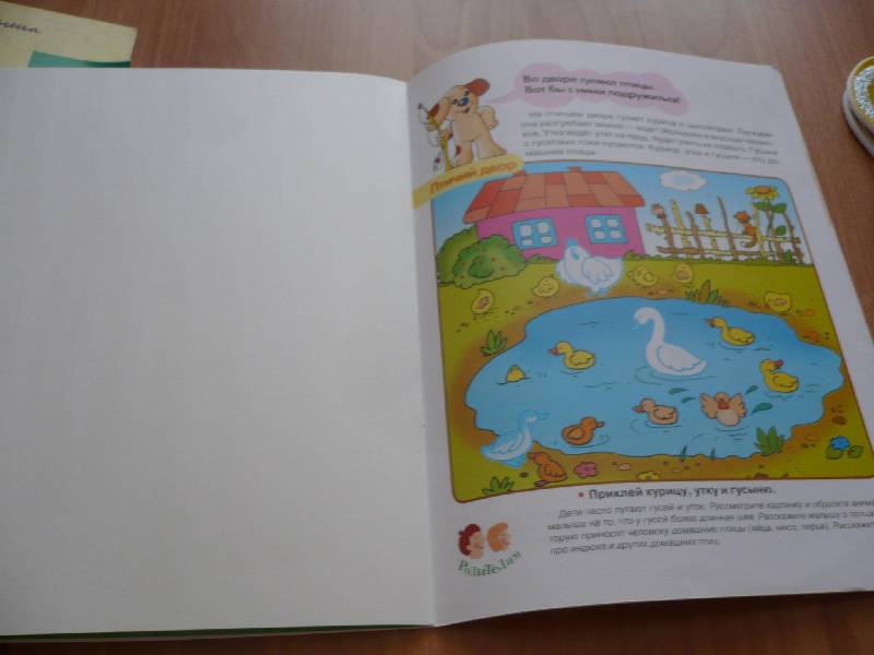 Иллюстрация 2 из 16 для Домашние животные. Первые уроки 3+ - Софья Буланова | Лабиринт - книги. Источник: Домбиблиотека