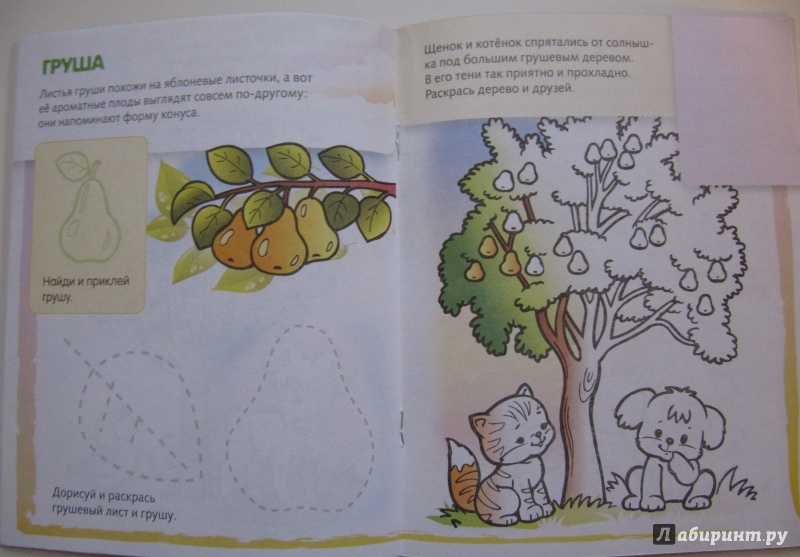 Иллюстрация 12 из 16 для Дорисуй и раскрась.Деревья и плоды | Лабиринт - книги. Источник: Чернова  Анастасия Юрьевна