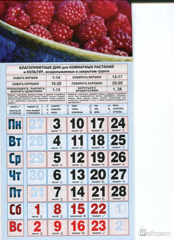 Иллюстрация 3 из 3 для Календарь на 2014 год "Садово-огородный лунный календарь". Перекидной на ригеле (КНЕ-07) | Лабиринт - сувениры. Источник: Eleonor