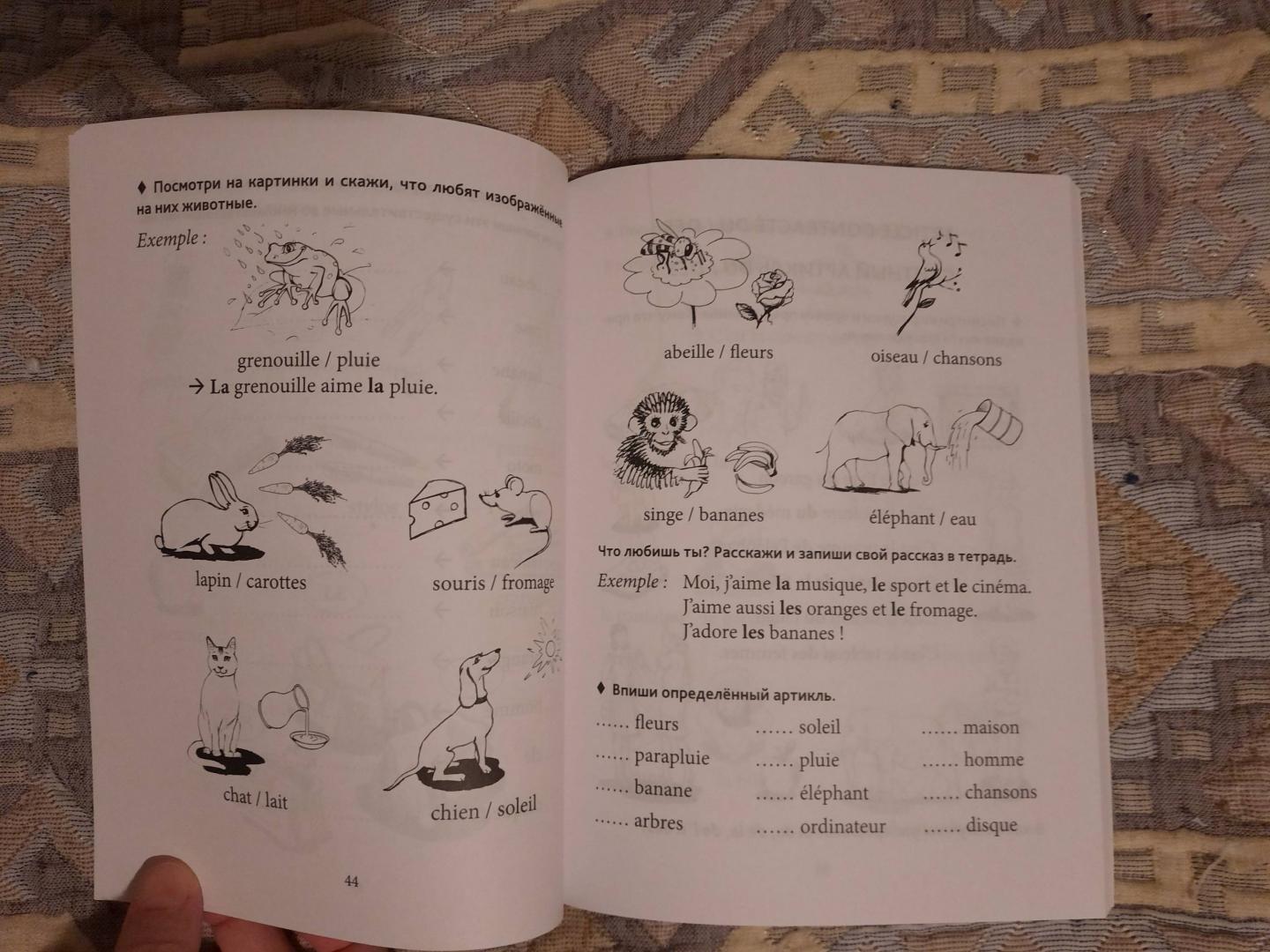 Иллюстрация 31 из 37 для Грамматика французского языка для младшего школьного возраста. 2-3 классы - Анна Иванченко | Лабиринт - книги. Источник: Damir87