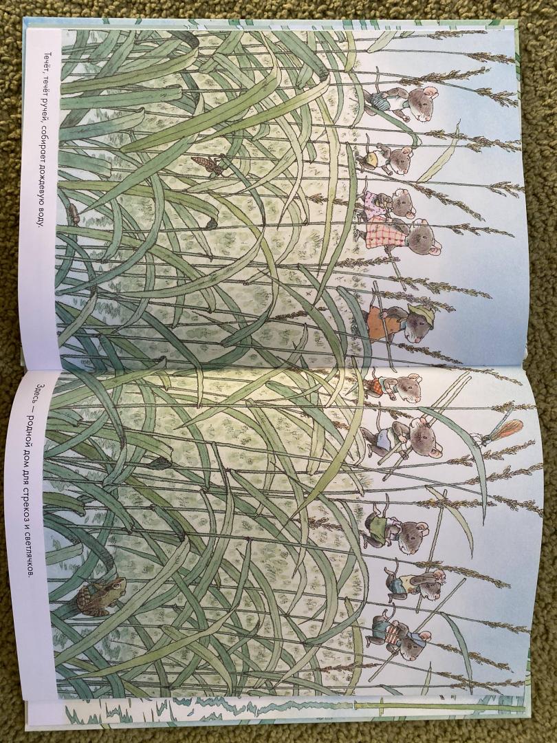 Иллюстрация 40 из 40 для 14 лесных мышей. Стрекозиный пруд - Кадзуо Ивамура | Лабиринт - книги. Источник: Сабитова  Элина