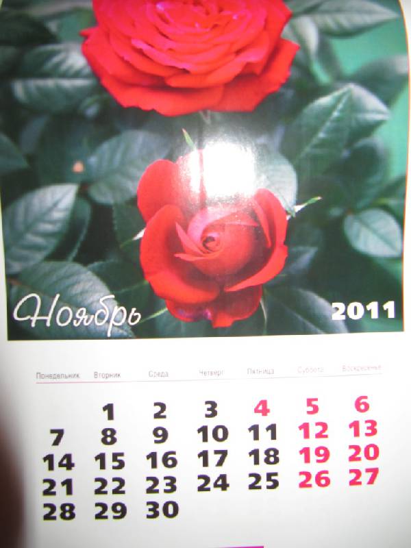 Иллюстрация 6 из 7 для Календарь 2011. "Палитра цветов" | Лабиринт - сувениры. Источник: Мурка