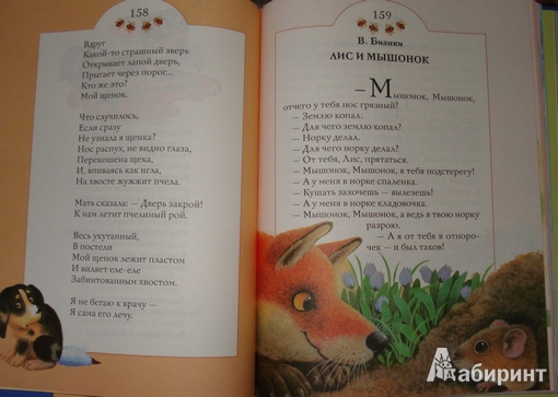 Иллюстрация 11 из 11 для Читаем дома и в детском саду | Лабиринт - книги. Источник: Радькова  Анна Николаевна