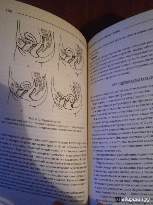 Иллюстрация 16 из 16 для Гинекология. Медицинский справочник - Оксана Паламарчук | Лабиринт - книги. Источник: D8  _