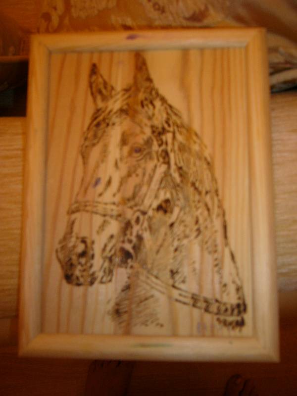 Иллюстрация 2 из 8 для Выжигание по дереву: Лошадь (Вр018) | Лабиринт - игрушки. Источник: Ю-л-и-я