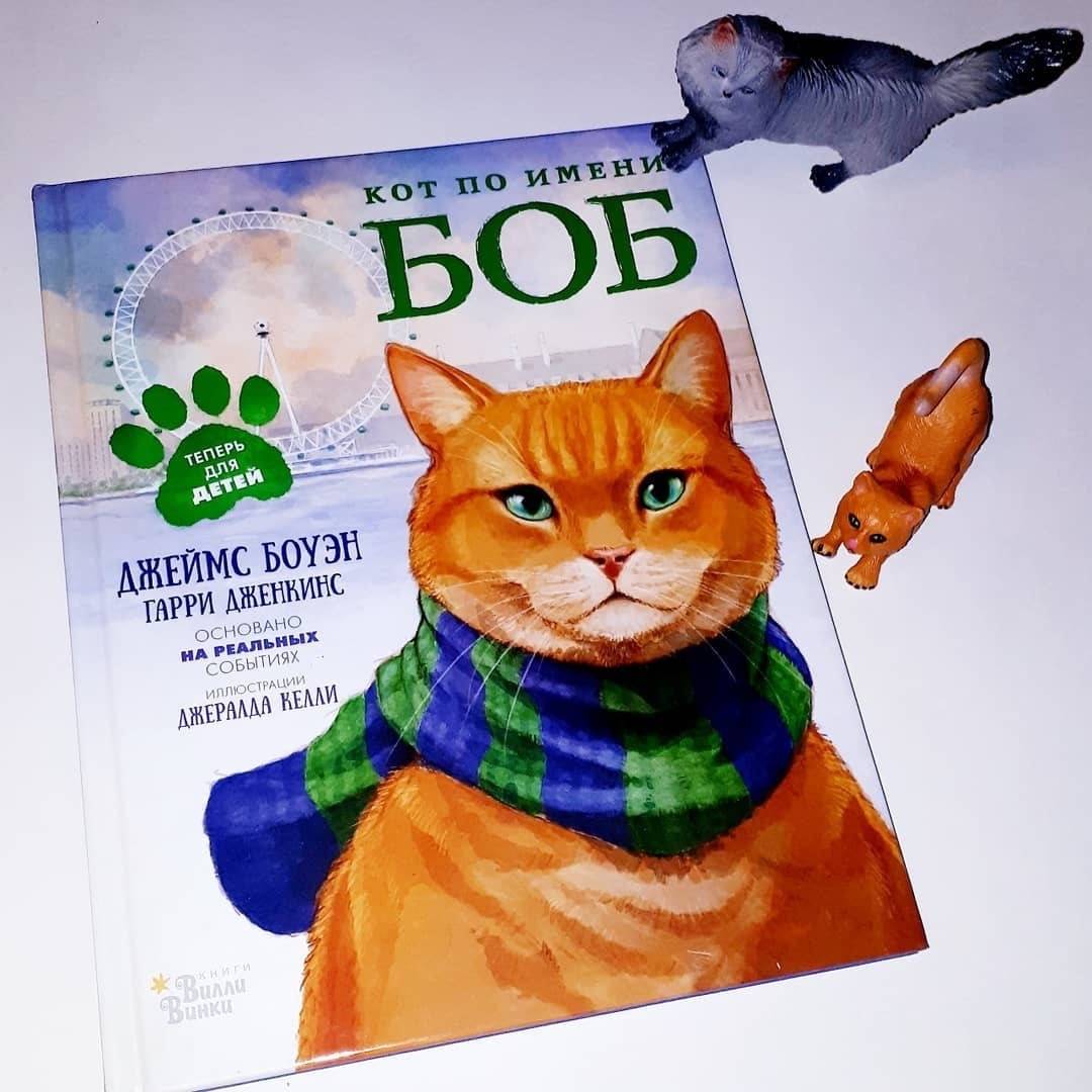 Иллюстрация 27 из 69 для Кот по имени Боб - Боуэн, Дженкинс | Лабиринт - книги. Источник: Отзывы читателей