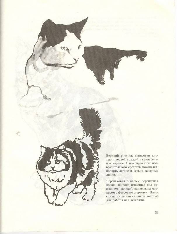 Иллюстрация 35 из 39 для Учитесь рисовать кошек - Дэвид Браун | Лабиринт - книги. Источник: Ялина