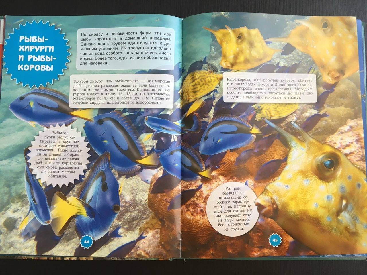 Иллюстрация 20 из 21 для Подводный мир - Ликсо, Третьякова | Лабиринт - книги. Источник: Ольга Тон