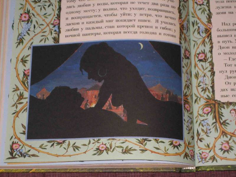 Иллюстрация 81 из 109 для Заколдованная принцесса - Ролан Быков | Лабиринт - книги. Источник: Трухина Ирина