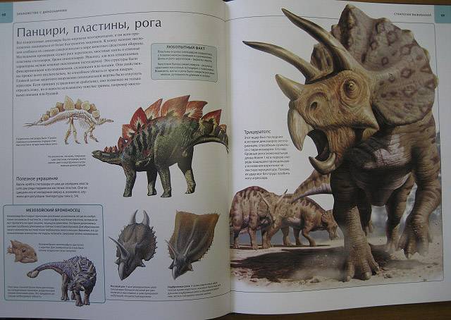 Иллюстрация 76 из 109 для Динозавры. Иллюстрированный атлас - Майкл Бретт-Шуман | Лабиринт - книги. Источник: Troulala