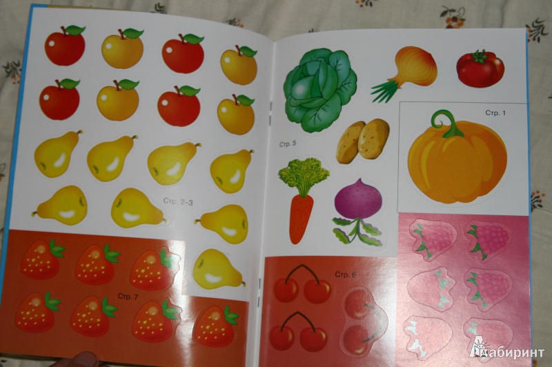 Иллюстрация 12 из 28 для Овощи, фрукты и ягоды - Лариса Маврина | Лабиринт - книги. Источник: Кабанова  Ксения Викторовна