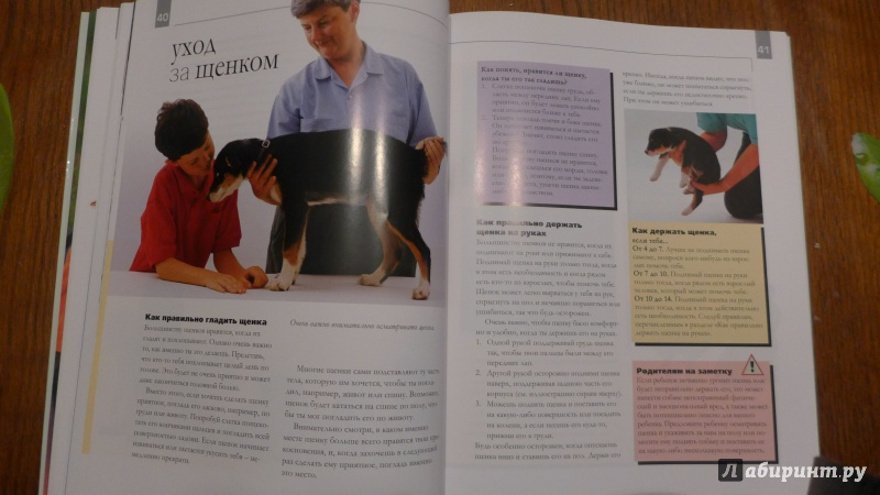 Иллюстрация 9 из 15 для Как воспитать щенка. Практическое руководство для детей и родителей - Сара Уайтхед | Лабиринт - книги. Источник: Кондрашева  Анна