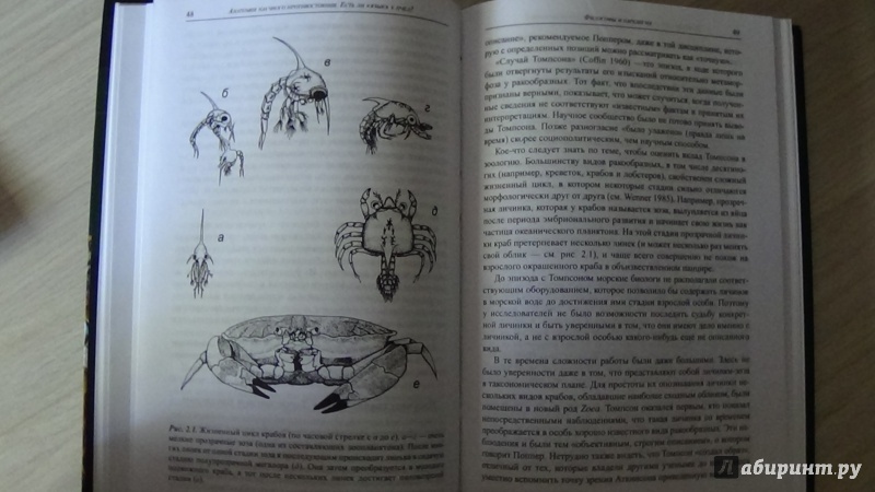 Иллюстрация 3 из 9 для Анатомия научного противостояния. Есть ли "язык" у пчел? - Веннер, Уэллс | Лабиринт - книги. Источник: Консультант по наукам