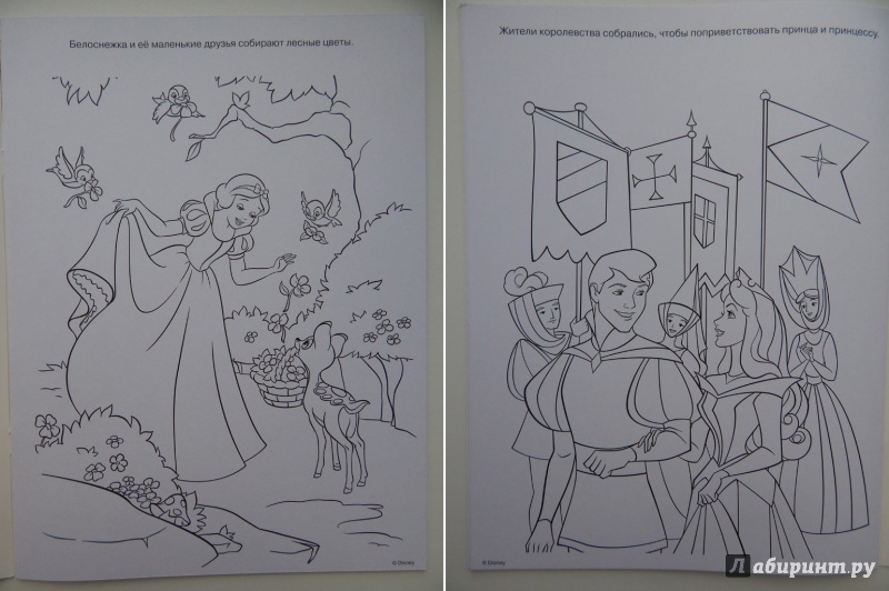 Иллюстрация 14 из 23 для Волшебная раскраска. Принцессы (№14007) | Лабиринт - книги. Источник: Мелкова  Оксана