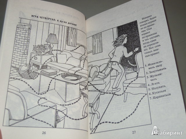 Иллюстрация 34 из 35 для Как жить с кошкой-невротиком - Стивен Бейкер | Лабиринт - книги. Источник: Iwolga