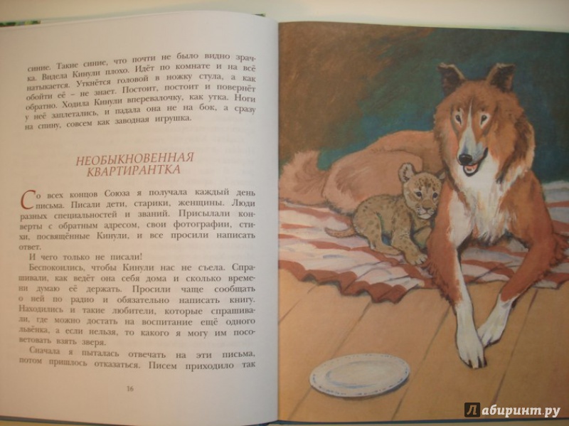 Иллюстрация 5 из 43 для Фомка - белый медвежонок - Вера Чаплина | Лабиринт - книги. Источник: Сорокина  Лариса