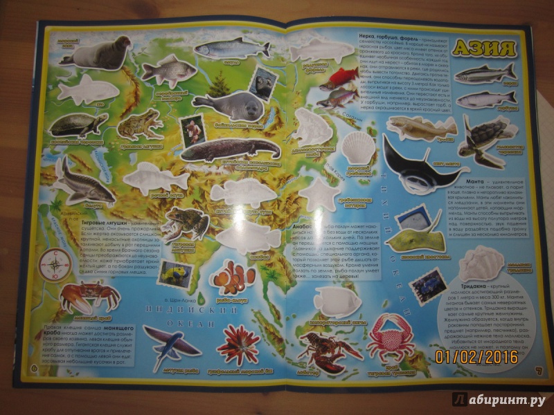 Иллюстрация 18 из 22 для Обитатели рек, морей и океанов. Атлас мира с наклейками | Лабиринт - книги. Источник: Venefica