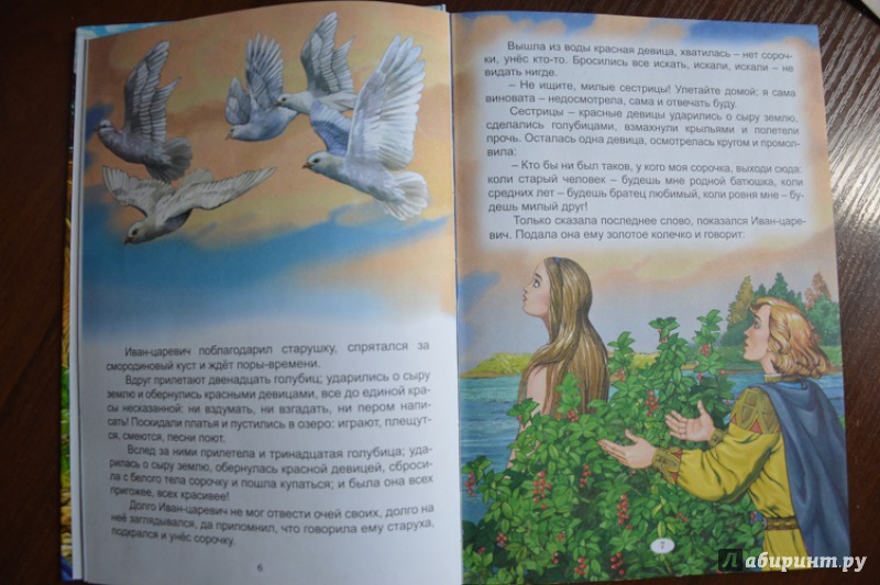 Иллюстрация 27 из 27 для Сказки Василисы Премудрой | Лабиринт - книги. Источник: Никулина  Евгения Евгеньевна
