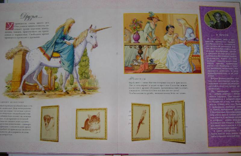 Иллюстрация 15 из 44 для Как стать принцессой | Лабиринт - книги. Источник: Хохрева  Анна Александровна