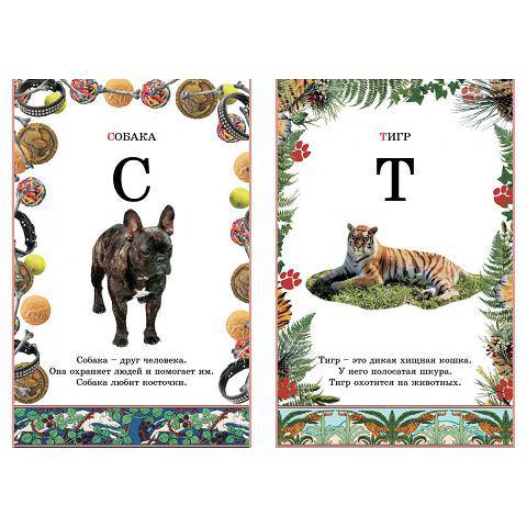 Иллюстрация 30 из 34 для Иллюстрированная азбука животного мира | Лабиринт - книги. Источник: Иринесс