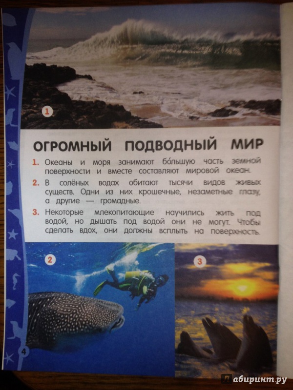 Иллюстрация 5 из 13 для Морские обитатели - Анна Аксенова | Лабиринт - книги. Источник: Katozz