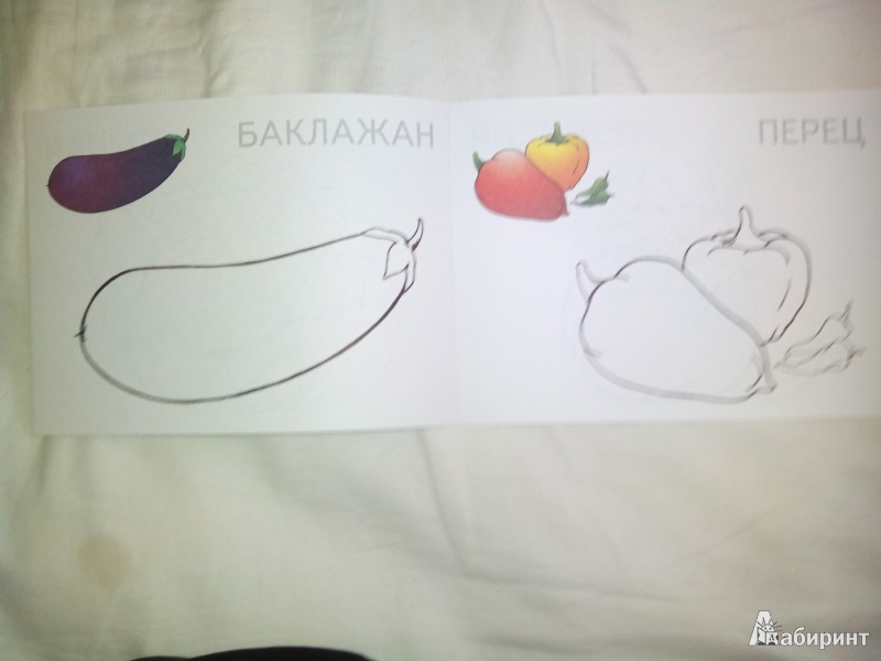 Иллюстрация 2 из 10 для Овощи | Лабиринт - книги. Источник: Харченко  Ольга