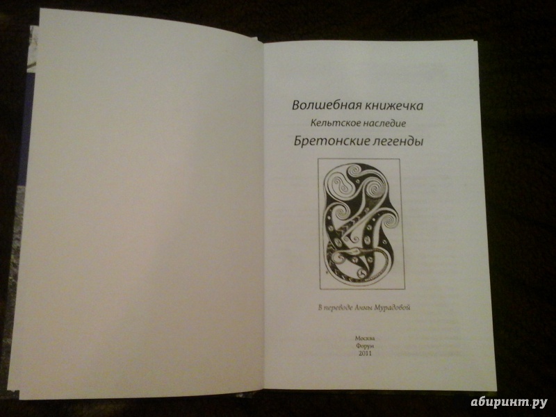 Иллюстрация 5 из 33 для Бретонские легенды - Анна Мурадова | Лабиринт - книги. Источник: Ksaana