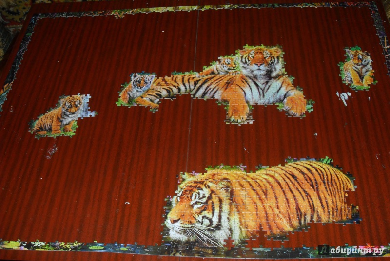 Иллюстрация 7 из 11 для Step Puzzle-2000 "В джунглях. Тигры" (84020) | Лабиринт - игрушки. Источник: Скар