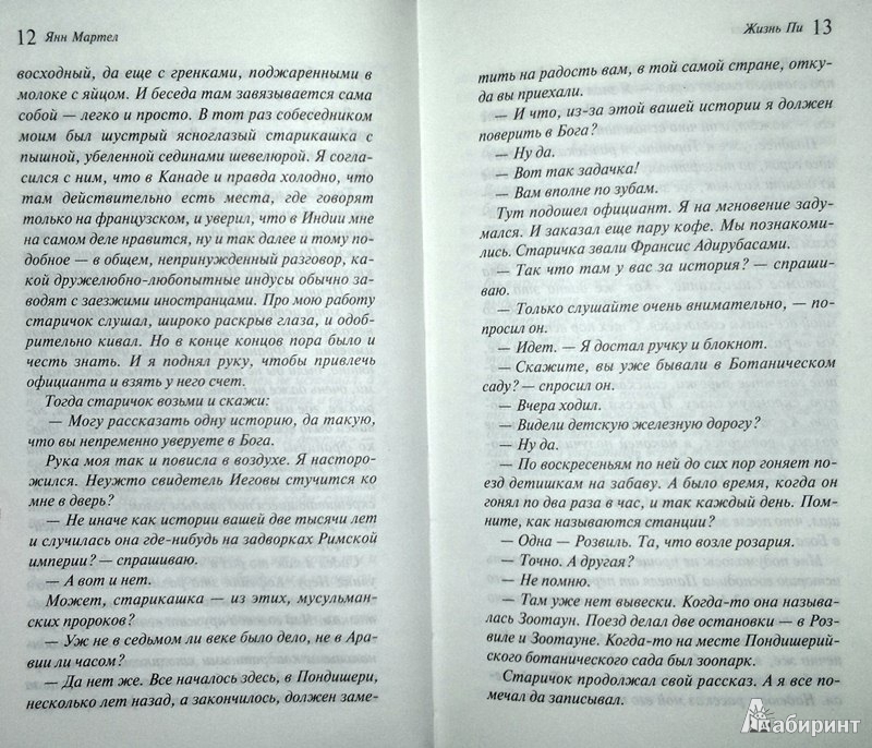 Иллюстрация 8 из 13 для Жизнь Пи - Янн Мартел | Лабиринт - книги. Источник: Леонид Сергеев