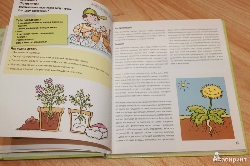Иллюстрация 11 из 23 для 101 эксперимент с растениями - Саан Ван | Лабиринт - книги. Источник: Nadushka