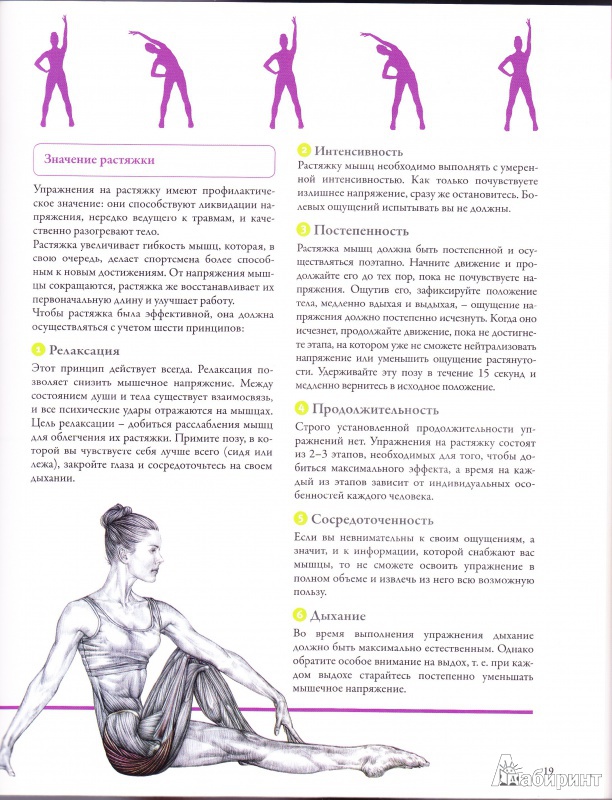 Иллюстрация 7 из 31 для Анатомия фитнеса - Клемансо, Делавье | Лабиринт - книги. Источник: asta0000