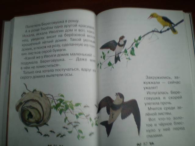 Иллюстрация 11 из 40 для Сказки и рассказы о животных - Виталий Бианки | Лабиринт - книги. Источник: С  М В