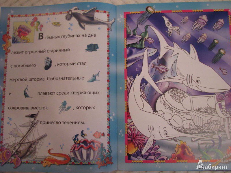 Иллюстрация 4 из 9 для Животные в море | Лабиринт - книги. Источник: Татарникова  Екатерина Владимировна