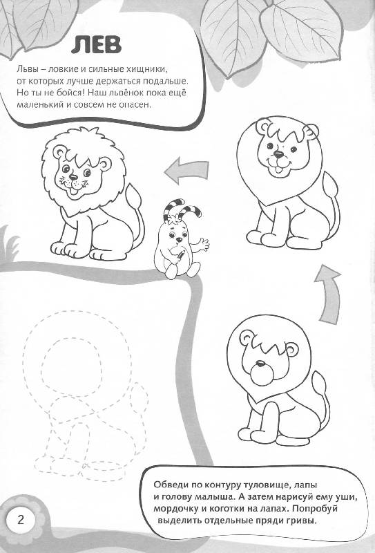 Иллюстрация 4 из 16 для Рисуем и раскрашиваем диких животных. 6+ | Лабиринт - книги. Источник: Росинка