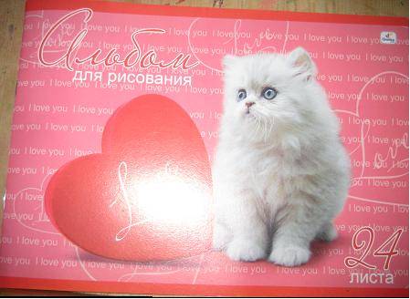 Иллюстрация 1 из 3 для Альбом для рисования 24 листа (А124366) Пушистый котенок | Лабиринт - канцтовы. Источник: kitteyn