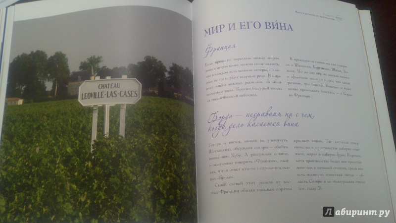 Иллюстрация 26 из 32 для Вино - это страсть - Терцано, Жинкаль | Лабиринт - книги. Источник: bamboo