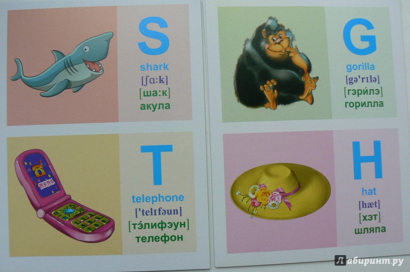 Иллюстрация 11 из 11 для Обучающие карточки "Английский алфавит" (16 карточек) | Лабиринт - игрушки. Источник: Марина