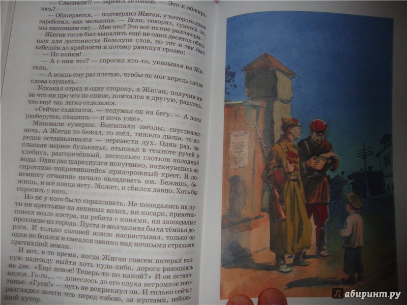 Иллюстрация 5 из 23 для Тимур и его команда - Аркадий Гайдар | Лабиринт - книги. Источник: Kety_Moxito