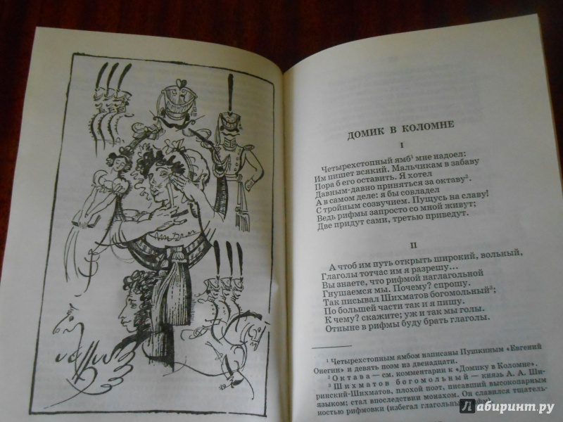 Иллюстрация 15 из 27 для Поэмы - Александр Пушкин | Лабиринт - книги. Источник: Леан