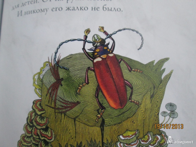 Иллюстрация 52 из 97 для Амурские сказки - Дмитрий Нагишкин | Лабиринт - книги. Источник: Алонсо Кихано