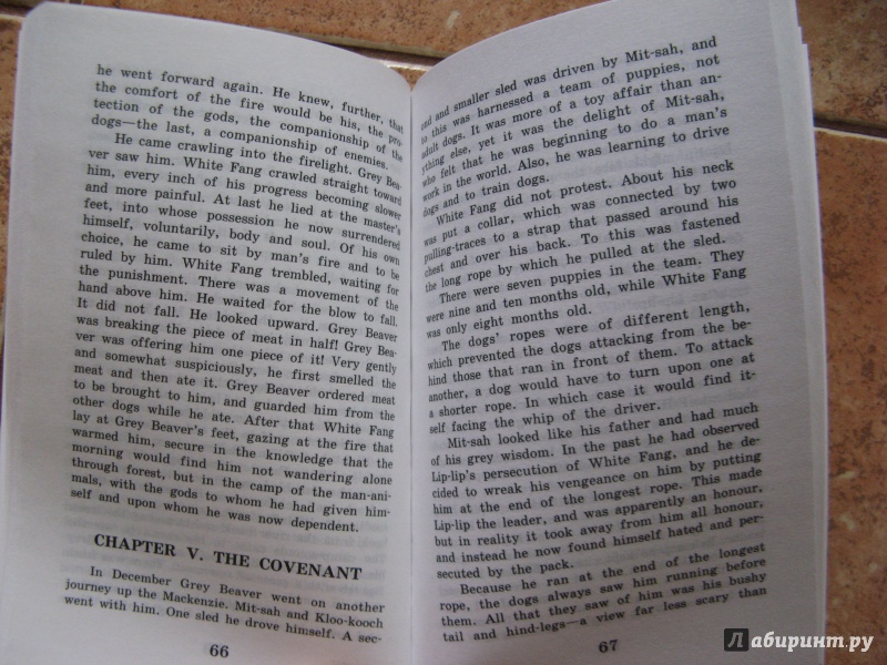 Иллюстрация 31 из 34 для Белый клык - Джек Лондон | Лабиринт - книги. Источник: Ольга