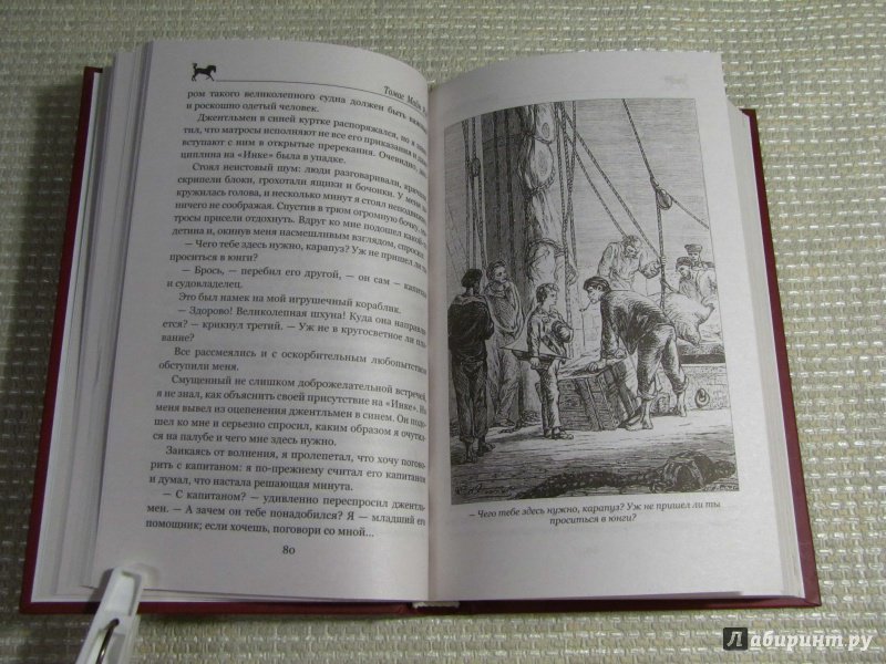 Иллюстрация 15 из 55 для Морской волчонок, или на дне трюма. Скитальцы Борнео, или Капитан Редвуд - Рид Майн | Лабиринт - книги. Источник: leo tolstoy