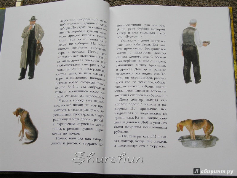 Иллюстрация 41 из 46 для Арктур - гончий пёс - Юрий Казаков | Лабиринт - книги. Источник: Shurshun